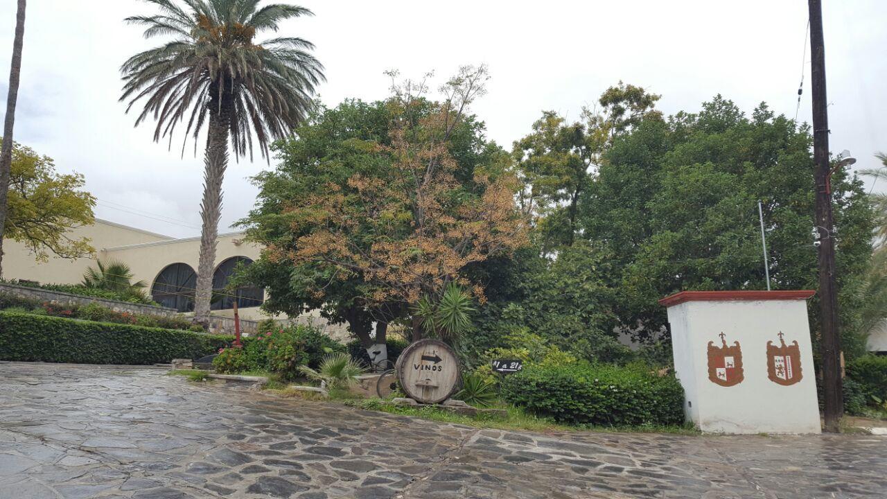 Hotel Antigua Hacienda De Perote Parras de la Fuente Exterior foto